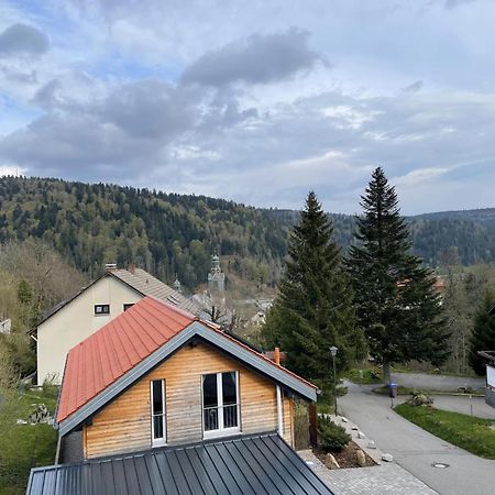 Traumferienwohnung Todtmoos - Appartment Mit Schoenem Wintergarten Zewnętrze zdjęcie