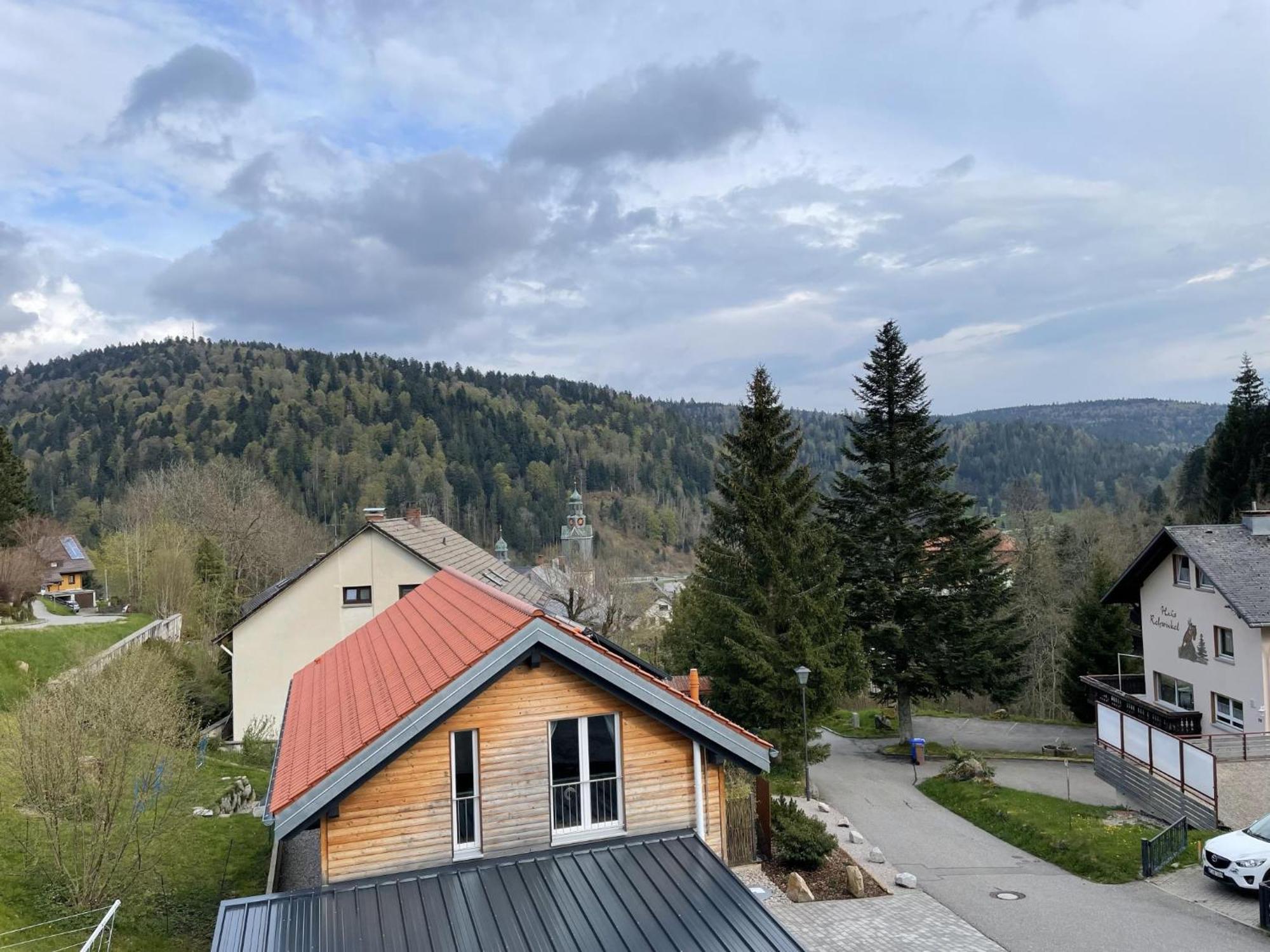 Traumferienwohnung Todtmoos - Appartment Mit Schoenem Wintergarten Zewnętrze zdjęcie